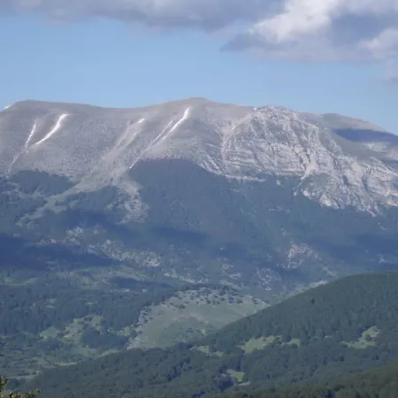 Dulcamara Pescasseroli