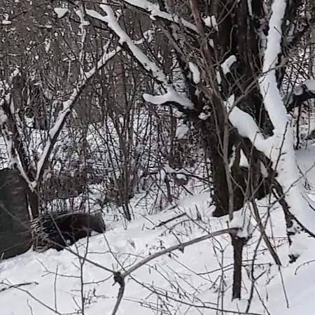 Bed & Breakfast Dulcamara 3*