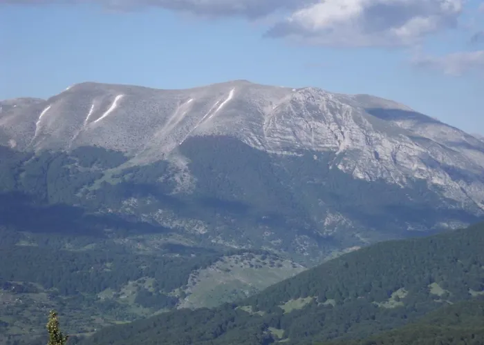 Dulcamara Pescasseroli