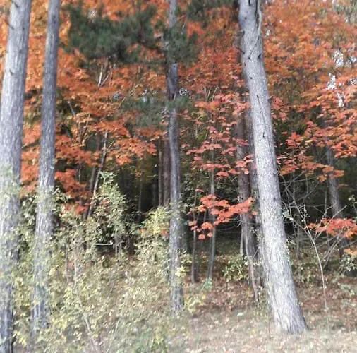 Dulcamara Oda ve Kahvaltı